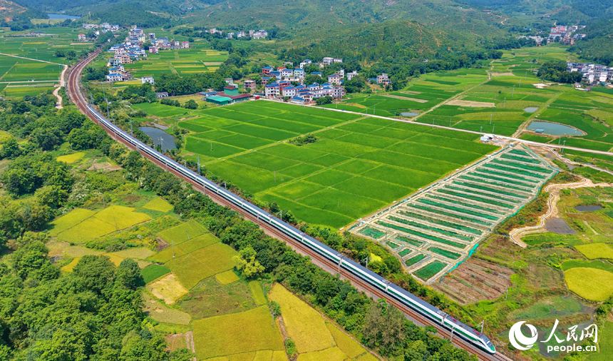 赣州市信丰县西牛镇黄泥村，复兴号CR200J3型动力集中动车组行驶在京九铁路线上。人民网记者 朱海鹏摄
