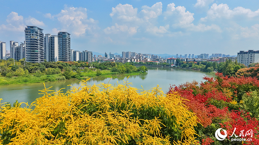 贛州市南康區章江江畔樹木繁茂、色彩斑斕，與藍天白雲、城市建筑相映生輝，勾勒成一幅城水相融、生態秀麗的秋景畫卷。人民網記者 朱海鵬攝