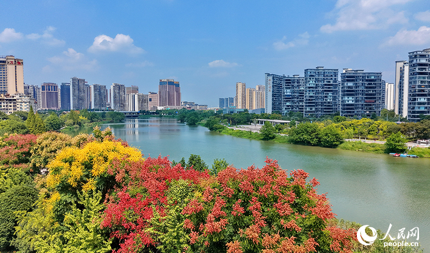 赣州市南康区章江江畔树木繁茂、色彩斑斓，与蓝天白云、城市建筑相映生辉，勾勒成一幅城水相融、生态秀丽的秋景画卷。人民网记者 朱海鹏摄