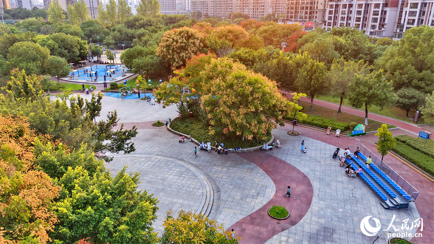 贛州市城區的一處口袋公園，市民正在進行體育鍛煉。人民網記者 朱海鵬攝