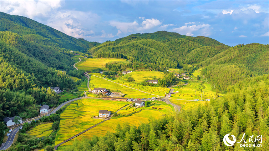贛州市崇義縣上堡鄉，梯田層層疊疊，鄉村秋日風景如畫。人民網記者 朱海鵬攝