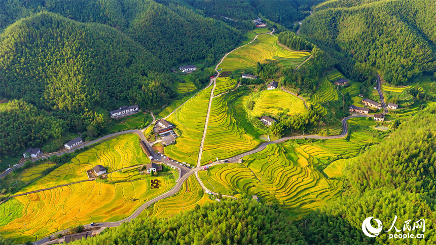 贛州市崇義縣上堡鄉，梯田層層疊疊，鄉村秋日風景如畫。人民網記者 朱海鵬攝