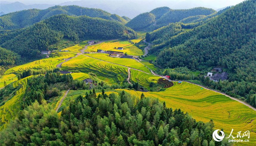 贛州市崇義縣上堡鄉，梯田層層疊疊，鄉村秋日風景如畫。人民網記者 朱海鵬攝