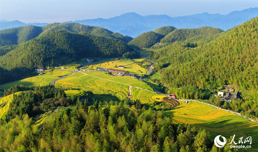 贛州市崇義縣上堡鄉，梯田層層疊疊，鄉村秋日風景如畫。人民網記者 朱海鵬攝