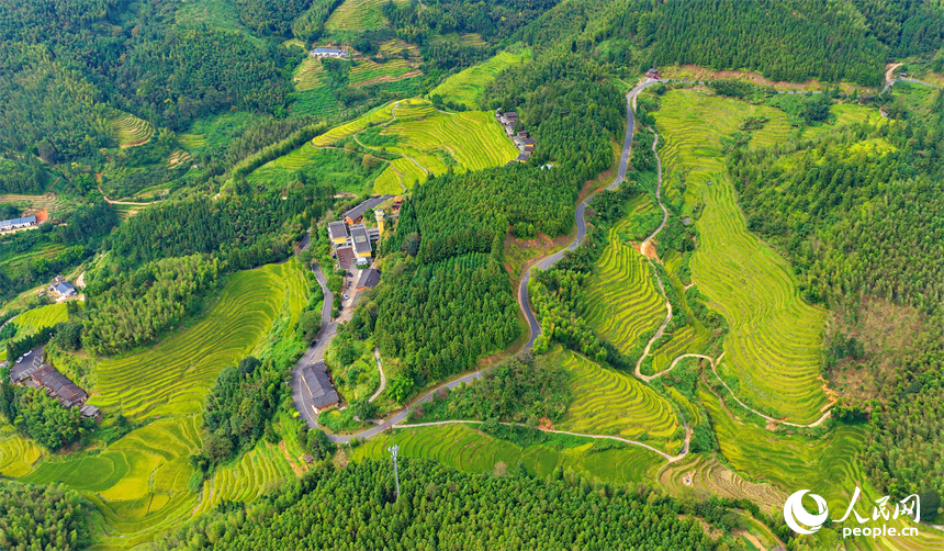 贛州市崇義縣上堡鄉，梯田層層疊疊，鄉村秋日風景如畫。人民網記者 朱海鵬攝