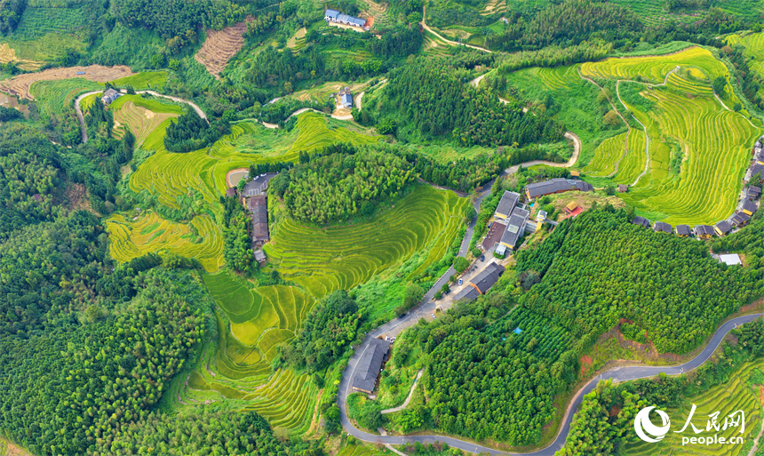 贛州市崇義縣上堡鄉，梯田層層疊疊，鄉村秋日風景如畫。人民網記者 朱海鵬攝