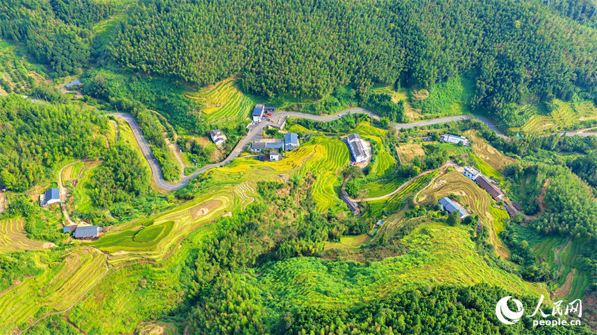 贛州市崇義縣上堡鄉，梯田層層疊疊，鄉村秋日風景如畫。人民網記者 朱海鵬攝