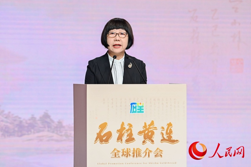 人民網黨委委員、副總裁唐維紅。人民網 鄒樂攝