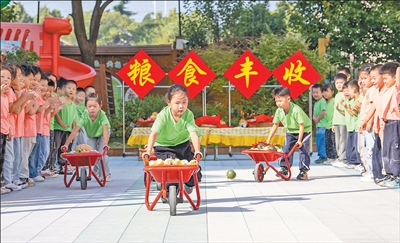 爱粮节粮