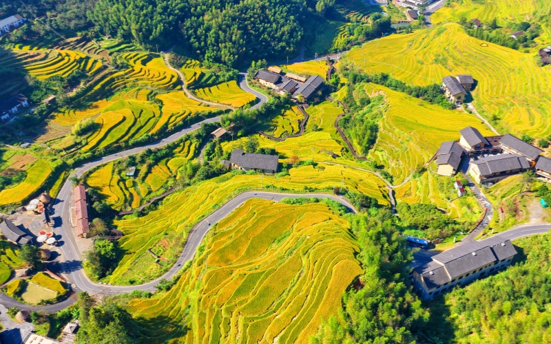 江西崇義：秋染山鄉 梯田“鑲金”
