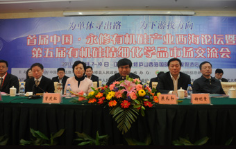 首届中国永修有机硅产业西海论坛举行