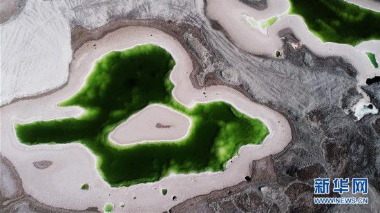 （美麗中國）（4）戈壁上的“綠寶石”