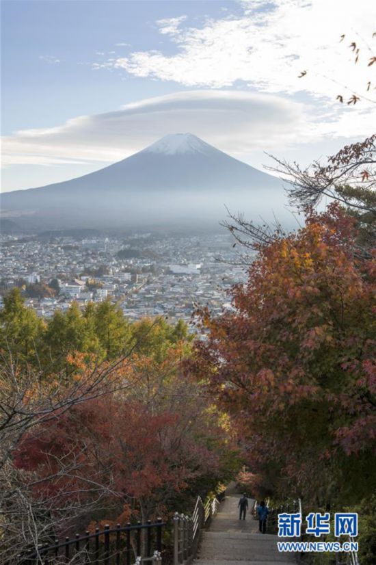 （國際）（3）富士山秋景