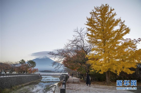 （國際）（4）富士山秋景