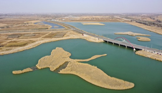 黃河流經寧夏銀川市鶴泉湖大橋（3月2日攝，無人機照片）。新華社記者 馮開華 攝
